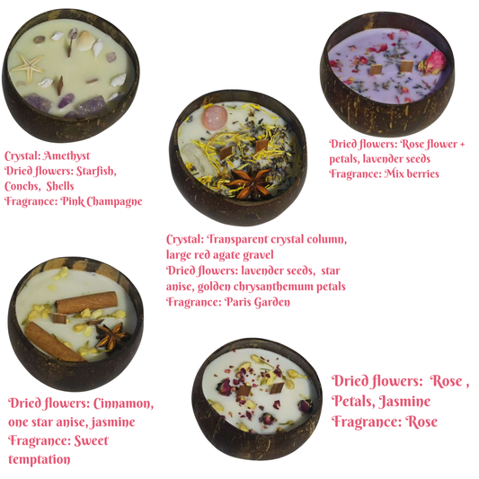 Natural Handmade Customized Scented Coconut Shell Bowl Candle with Crystal and dried flowers