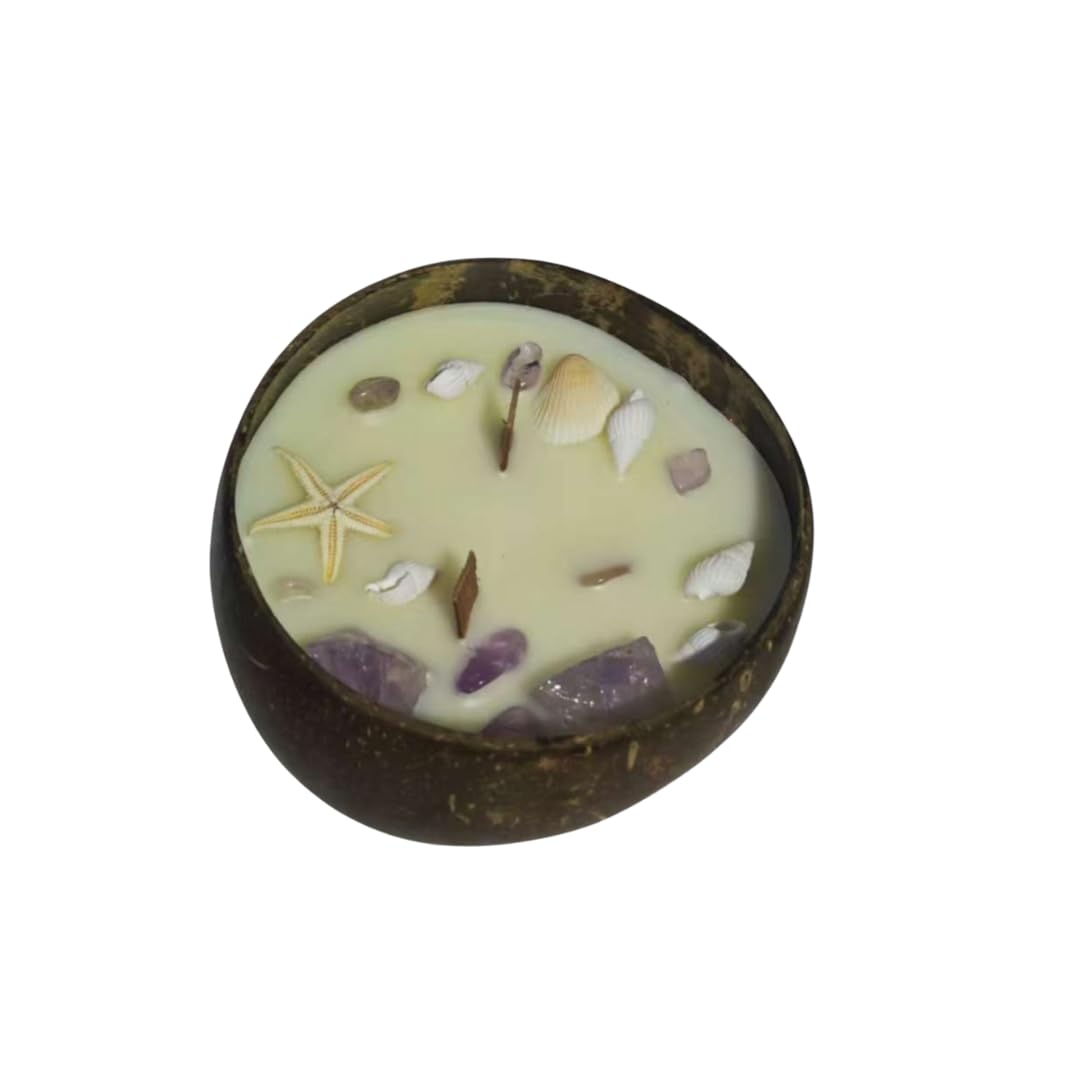 Natural Handmade Customized Scented Coconut Shell Bowl Candle with Crystal and Dried Flowers